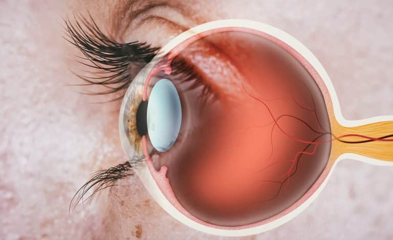 Fungsi Retina Mata, Risiko Penyakit, dan Cara Merawatnya